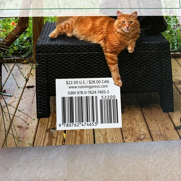 Indoor Cat Book Laura J. Moss Enrich Cat Life Guide Pet Care Hardcover - Picture 3 of 11